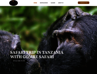 gombesafari.com screenshot