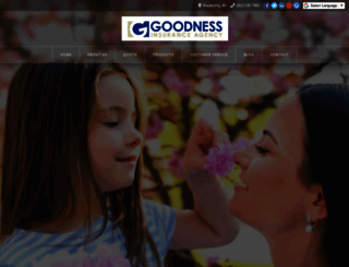 goodnessinsurance.com screenshot