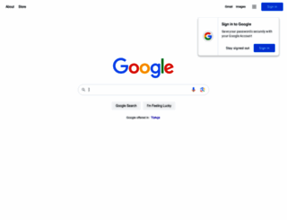 google.com.tr screenshot