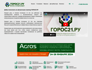 goros21.ru screenshot
