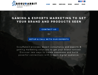 gosurabbit.com screenshot