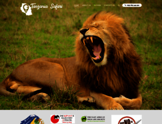 gotanzaniasafari.com screenshot