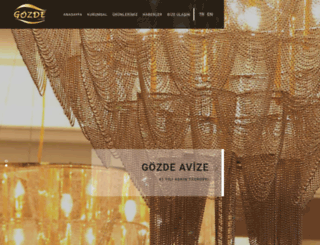 gozdeavize.com.tr screenshot