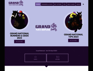 grand-national2014.co.uk screenshot
