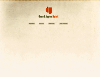 grandaygun.com screenshot