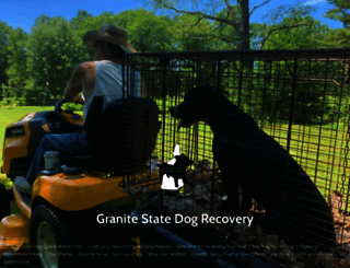 granitestatedogrecovery.com screenshot