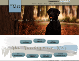 gundog-training4u.co.uk screenshot