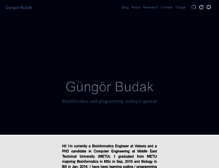 gungorbudak.com screenshot