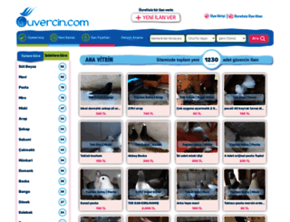 guvercin.com screenshot