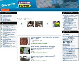 guvercinvideolari.net screenshot