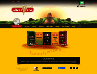 guzelcay.com.tr screenshot