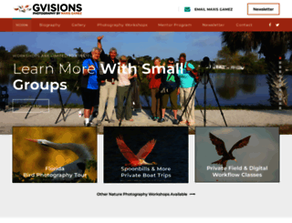 gvisions.org screenshot
