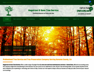 hagstromandsonstreeservice.com screenshot