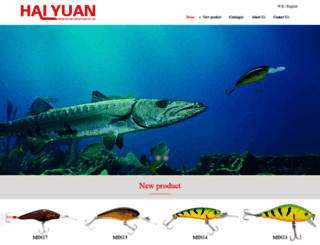 haiyuan-cn.com screenshot