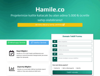 hamile.co screenshot