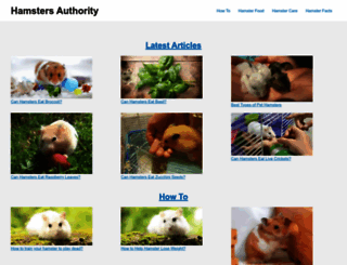 hamstersauthority.com screenshot