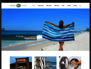 haongroup.com screenshot