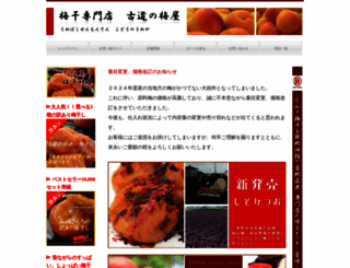hatenasi.com screenshot