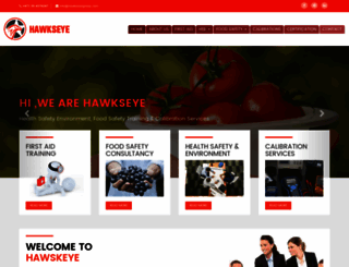 hawkseyegroup.com screenshot