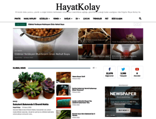 hayatkolay.com screenshot
