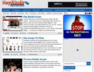 haydiindir.com screenshot