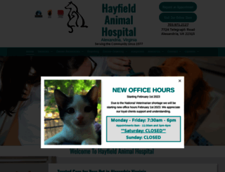 hayfieldanimalhospital.com screenshot