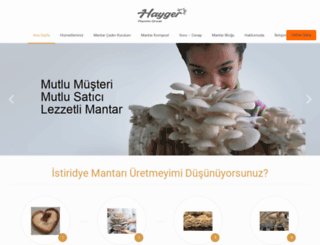 hayger.com screenshot