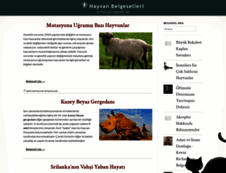 hayvanbelgeselleri.com screenshot