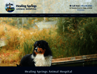 healingspringsanimalhospital.com screenshot