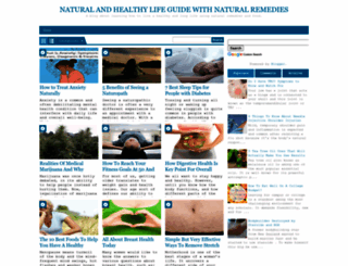 healthnaturalguide.com screenshot