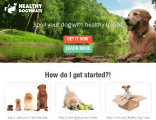 healthydogtreats.com screenshot