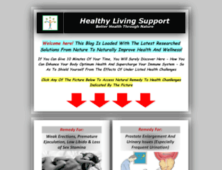 healthylivingsupport.com.ng screenshot