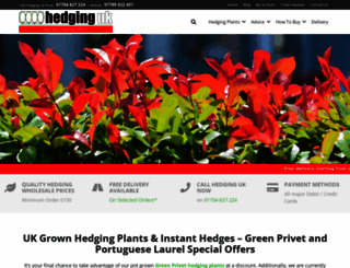 hedginguk.com screenshot