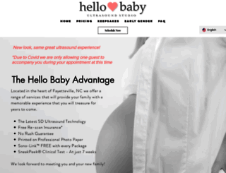 hellobabyus.com screenshot
