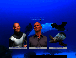 herbertnitsch.com screenshot