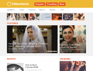 hibestone.com screenshot