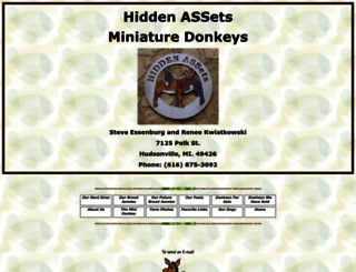 hiddenassetsdonks.com screenshot