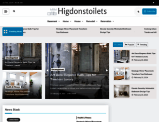 higdonstoilets.com screenshot