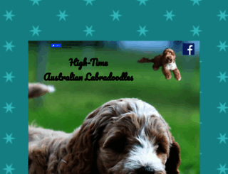 high-timeaustralianlabradoodles.com screenshot