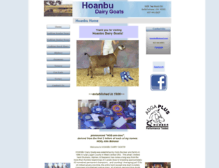 hoanbu.com screenshot