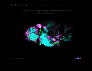 hoffmanlab.net screenshot