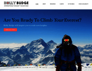 hollybudge.com screenshot