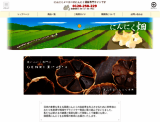 holonic.info screenshot