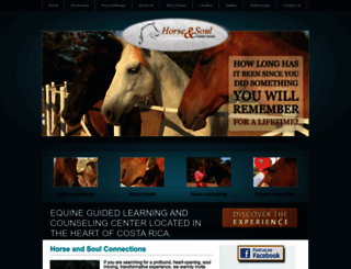 horseconnectionscostarica.com screenshot