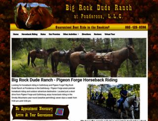 horseridingbigrock.com screenshot