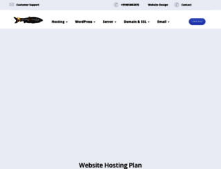 hostinginindia.com screenshot