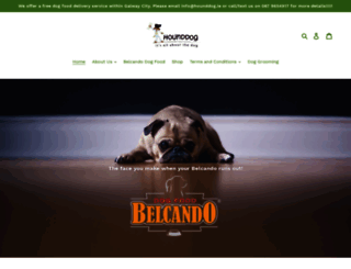 hound-dog.ie screenshot