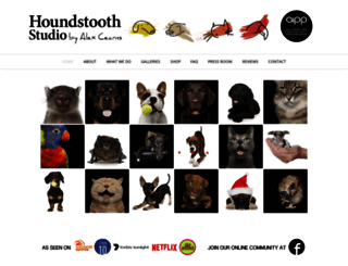 houndstoothstudio.com.au screenshot