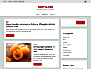 howlearn.net screenshot