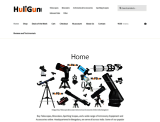 huligun.com screenshot
